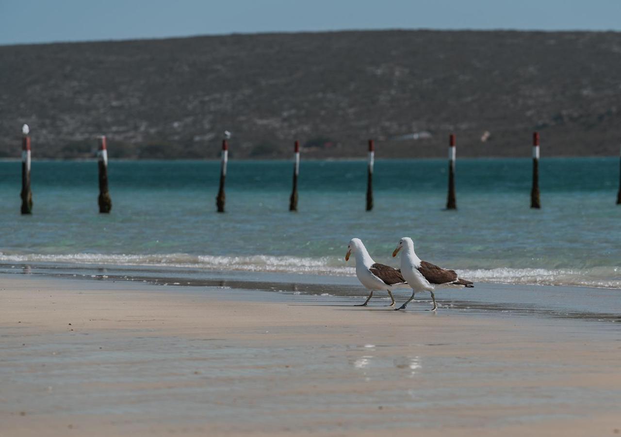 The Shark Bay Boutique Hotel & Spa Langebaan Exterior photo